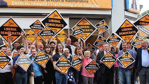 Stock Image of Lib Dems with Diamonds